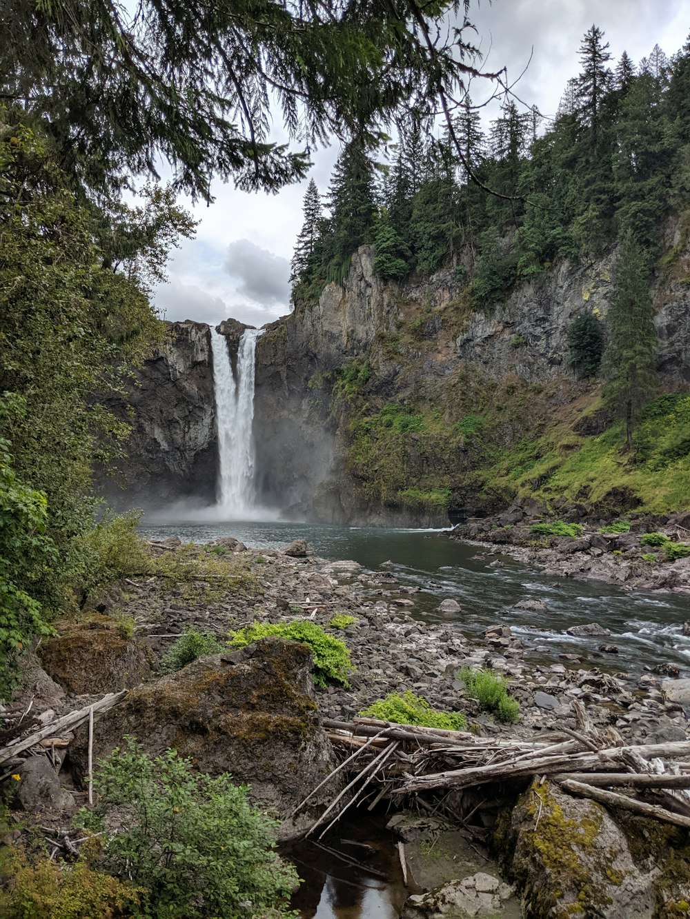 rocky mountain waterfalls near trees during day