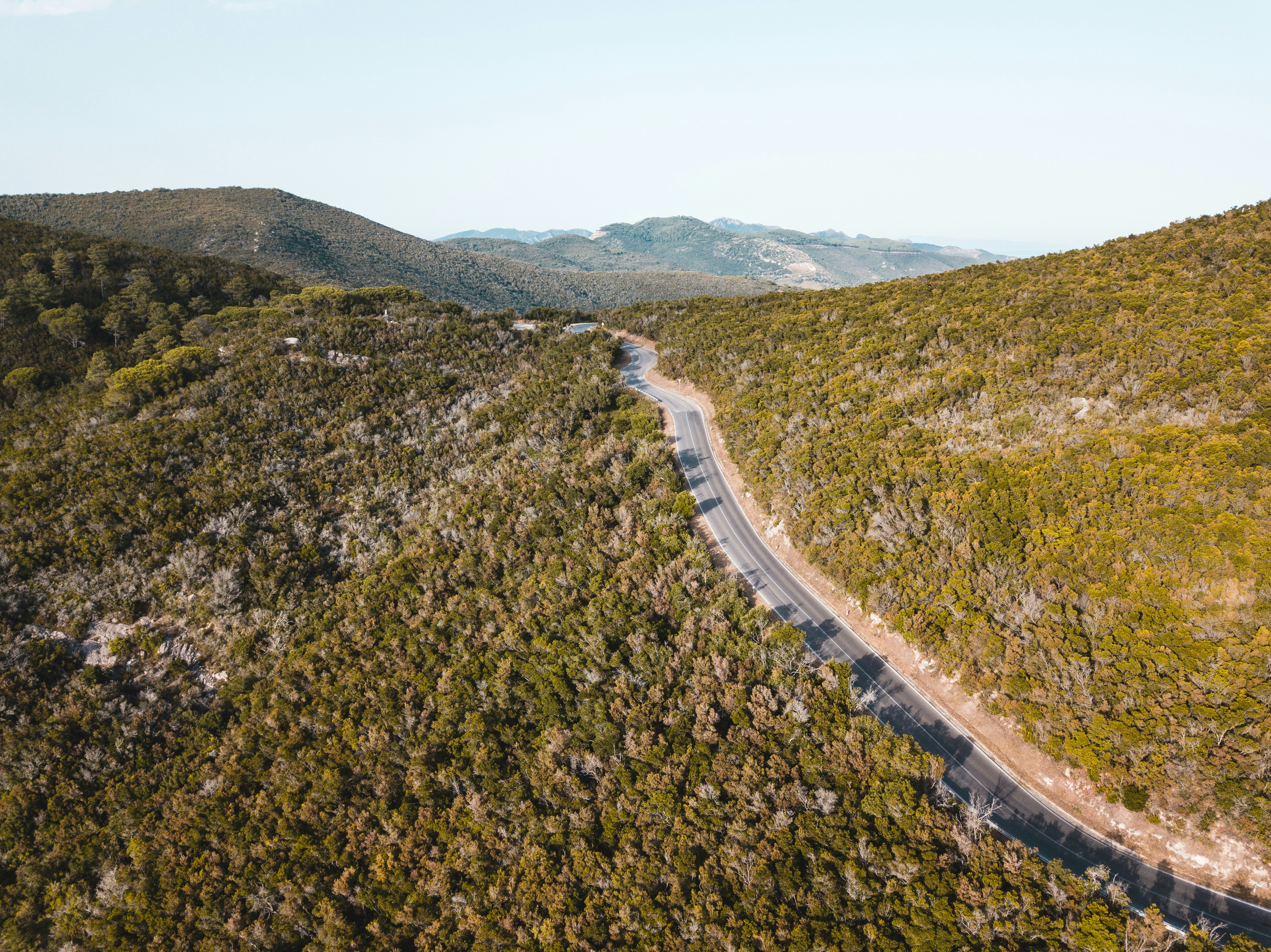 Photo by louismorgner