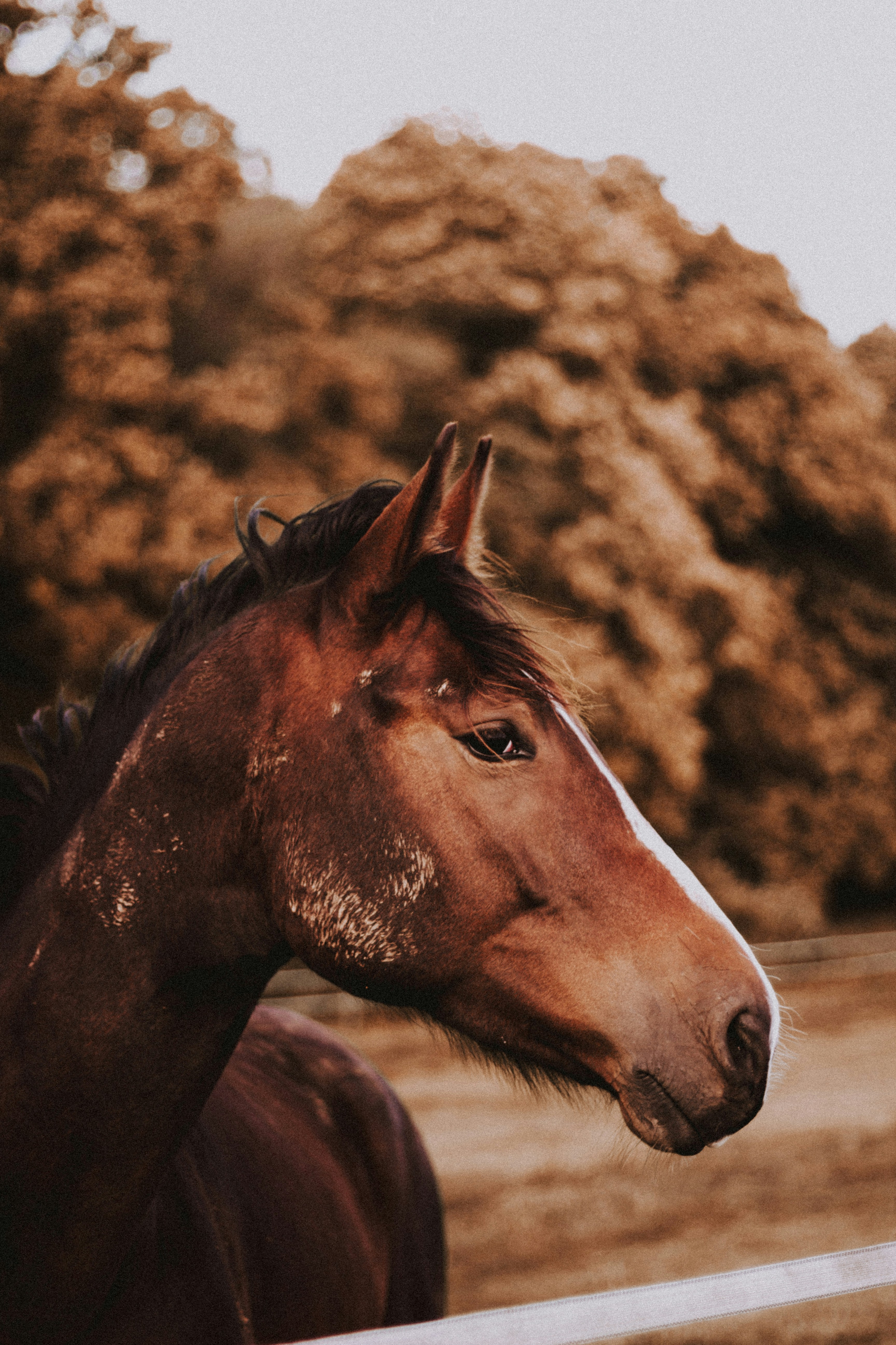 Photo by matreding