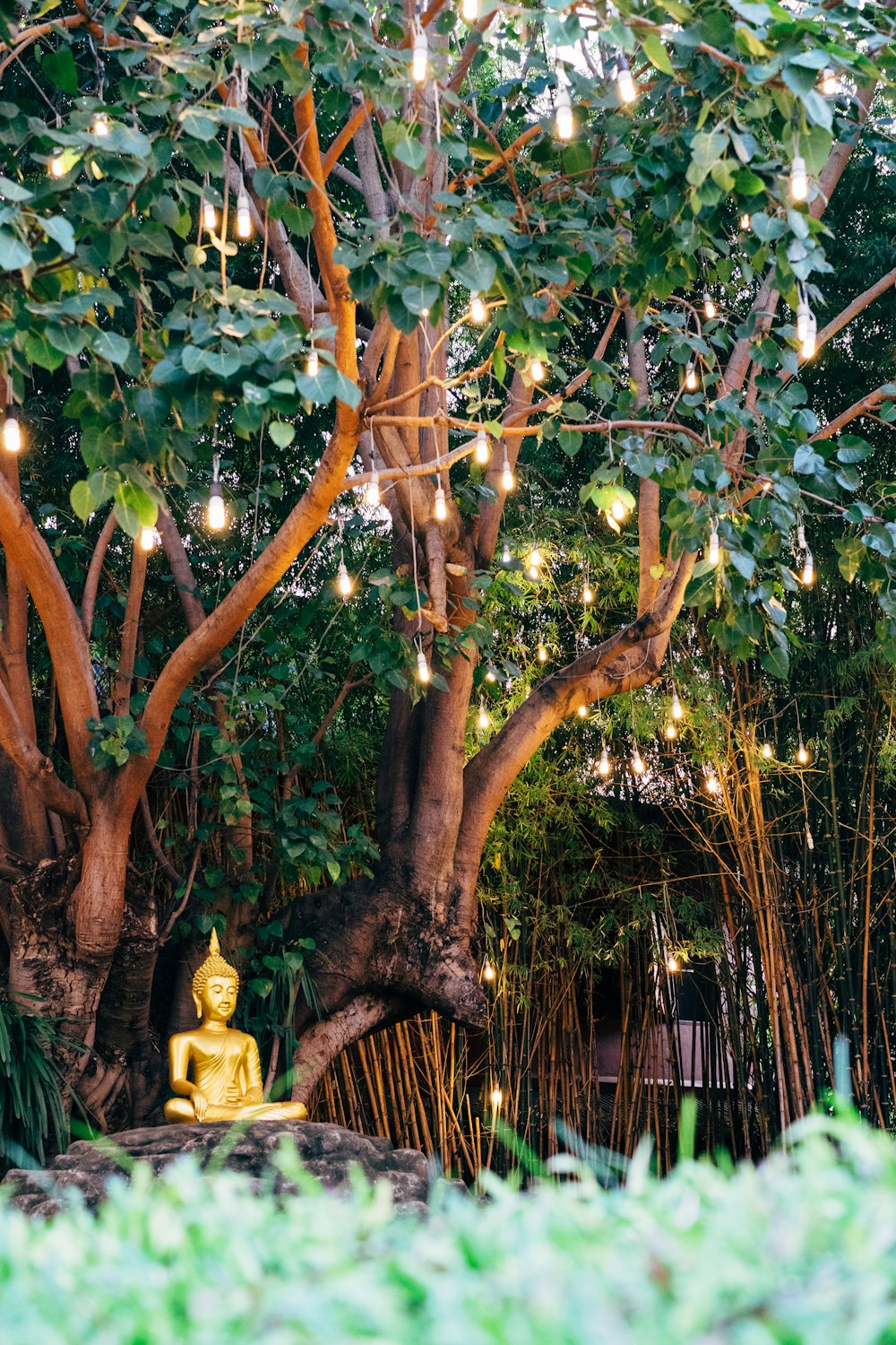 Gautama Buddha statue near green tree