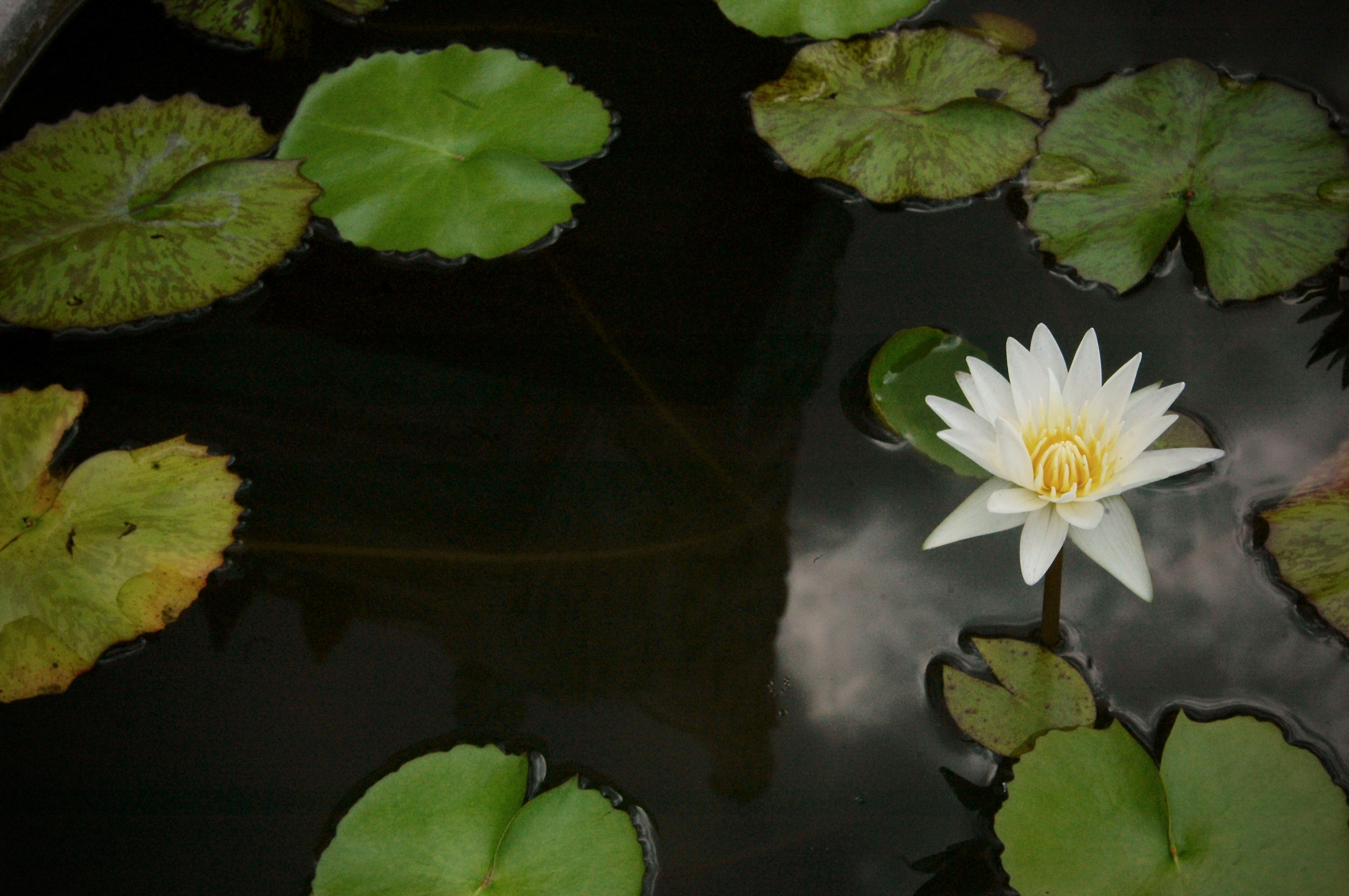 心靈世紀/心靈小品/生活智慧