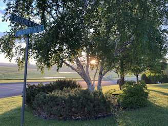 A calm, inviting street corner in Medford at sunset, hinting at a quiet, reliable ride service nearby.