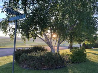A cozy street corner in Studio City with sunlit trees and local shops.