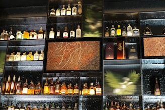 A wall of shelves filled with various bottles of liquor, including whiskey, gin, and other spirits. The shelves are arranged in a grid pattern and feature textured glass and decorative panels with earthy and abstract designs. Soft lighting highlights the bottles, creating an inviting and sophisticated atmosphere.