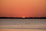 Paddleboarders glide across a calm body of water at sunset, with the vibrant orange and red hues of the sky reflecting on the surface. Silhouetted trees and buildings line the horizon, creating a serene and picturesque scene.