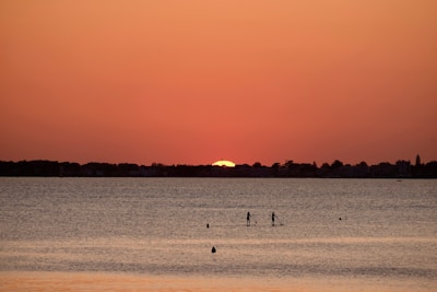 Paddleboarders glide across a calm body of water at sunset, with the vibrant orange and red hues of the sky reflecting on the surface. Silhouetted trees and buildings line the horizon, creating a serene and picturesque scene.