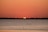 A vibrant image of a stand-up paddleboarder gliding across calm waters with palm trees in the background.