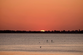 Paddleboarders glide across a calm body of water at sunset, with the vibrant orange and red hues of the sky reflecting on the surface. Silhouetted trees and buildings line the horizon, creating a serene and picturesque scene.