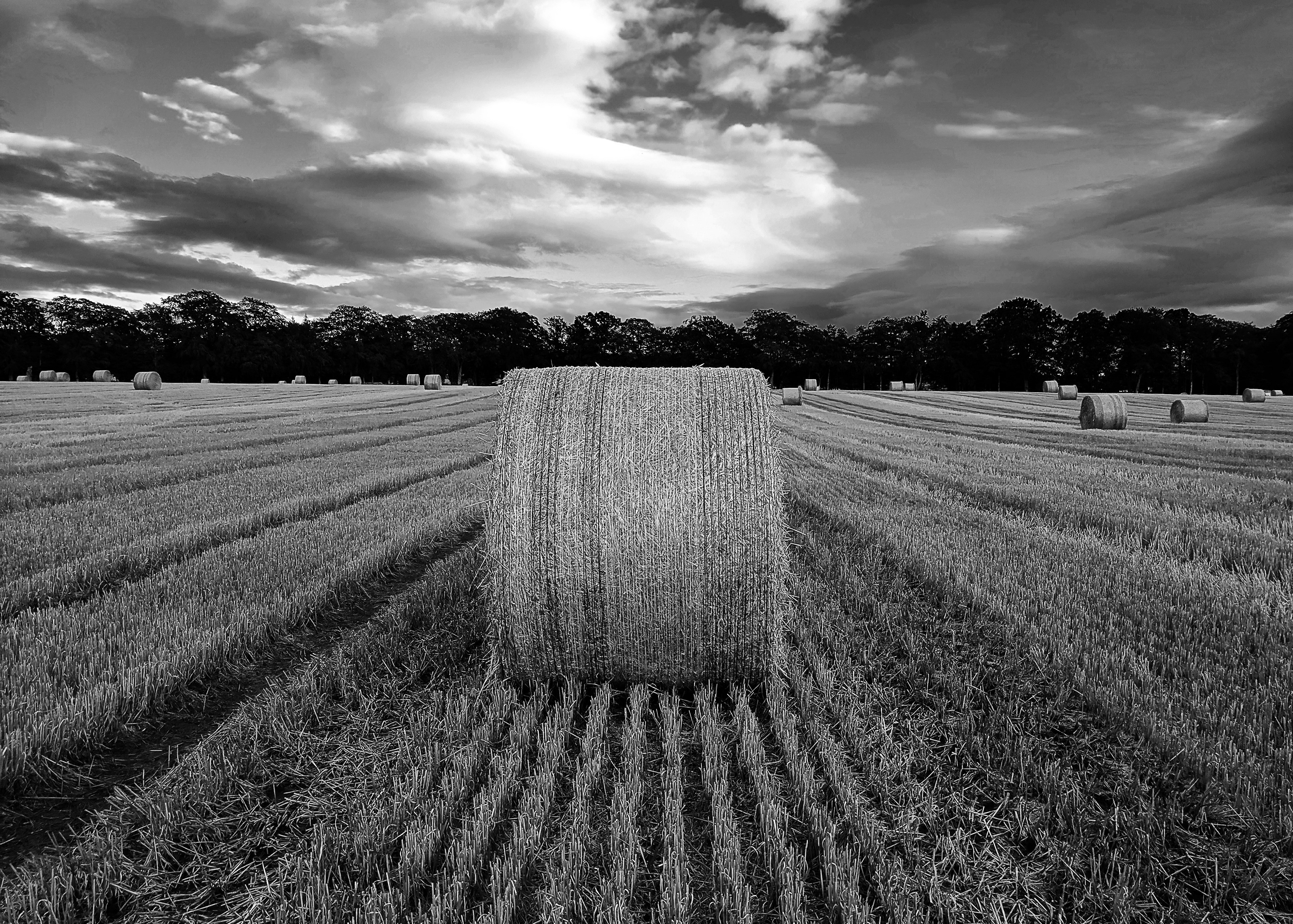 grayscale photo of bale of hays