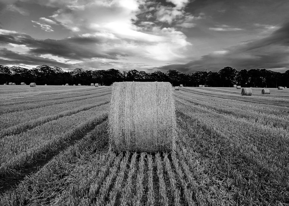 grayscale photo of bale of hays