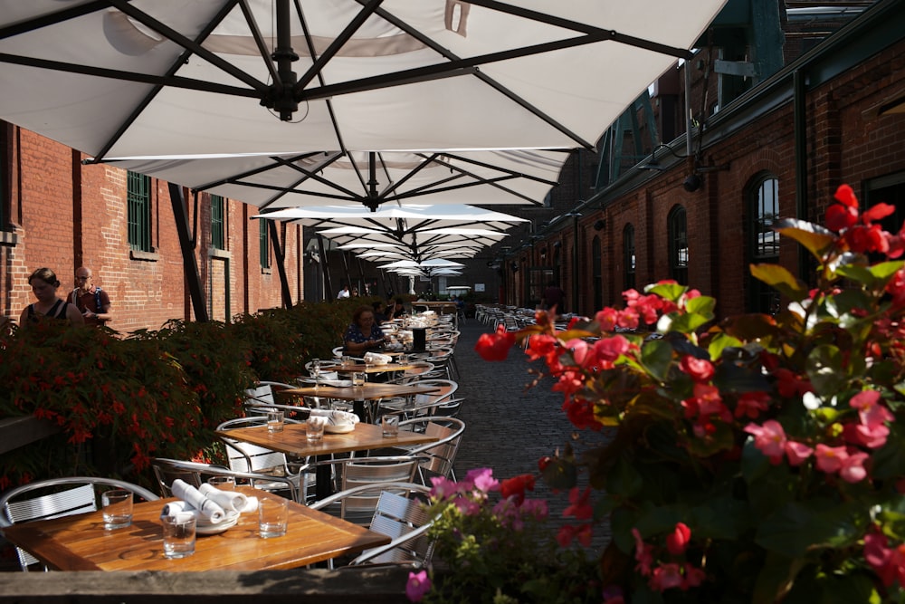 blooming red petaled flowers near dining tables outside building during daytime