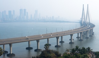 vehicles on cabled-stayed bridge during daytime