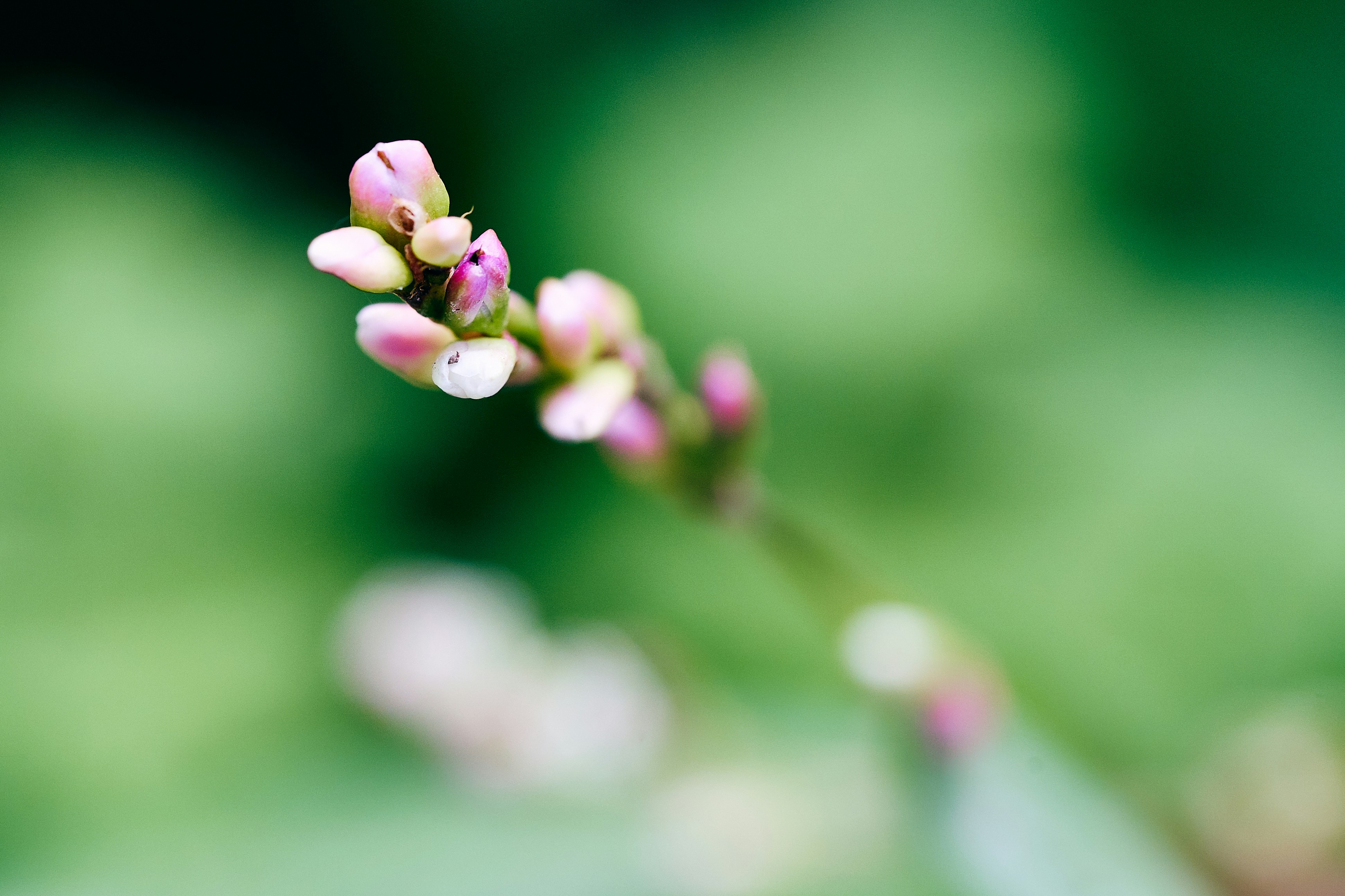 Photo by ingodoerrie