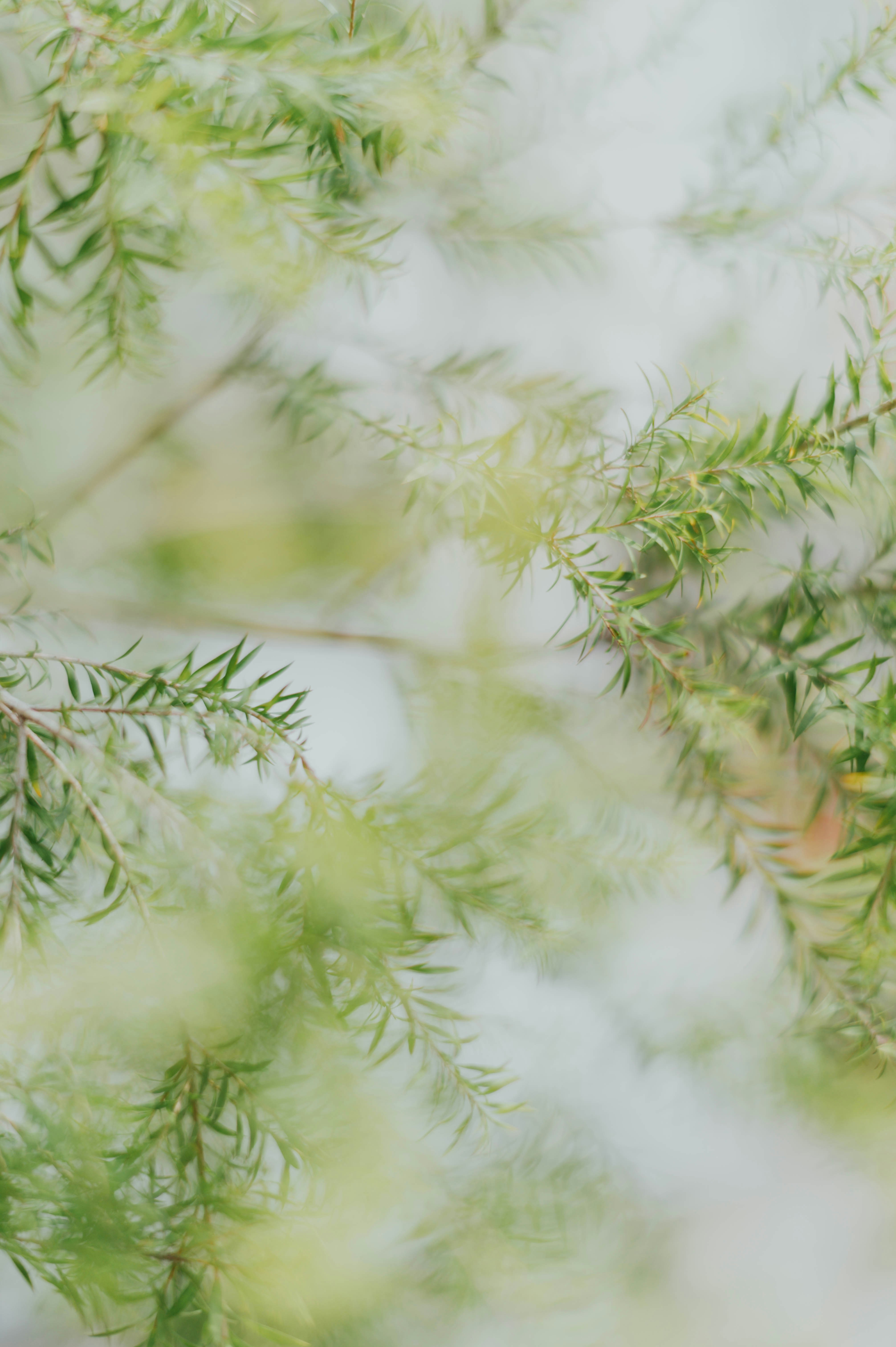 Photo by chuttersnap