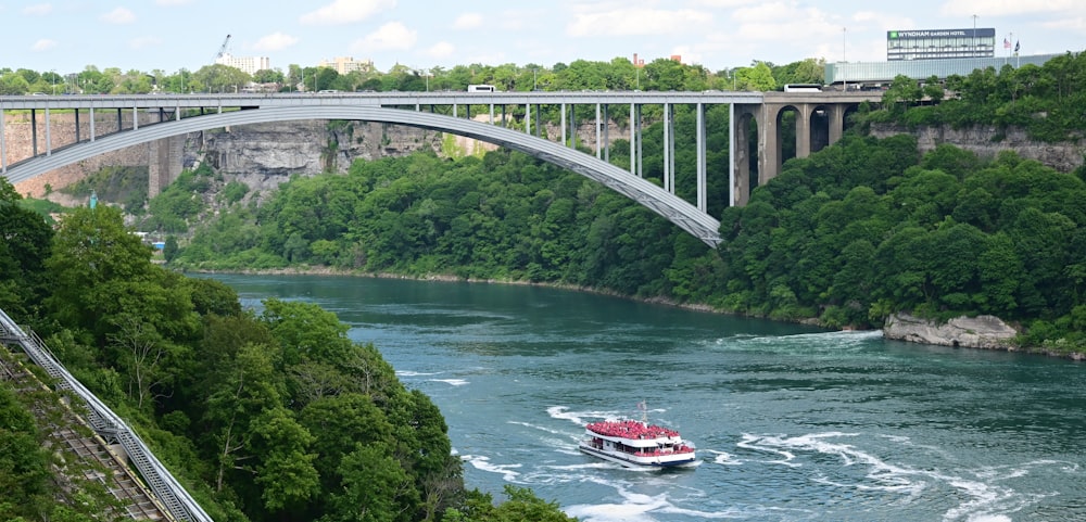 red and gray boat