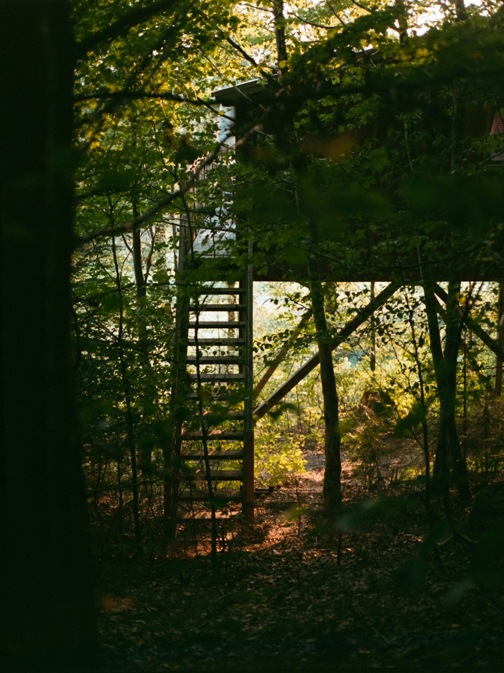 tree house