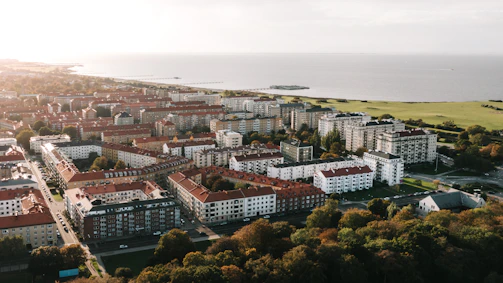 white and brown buildings
