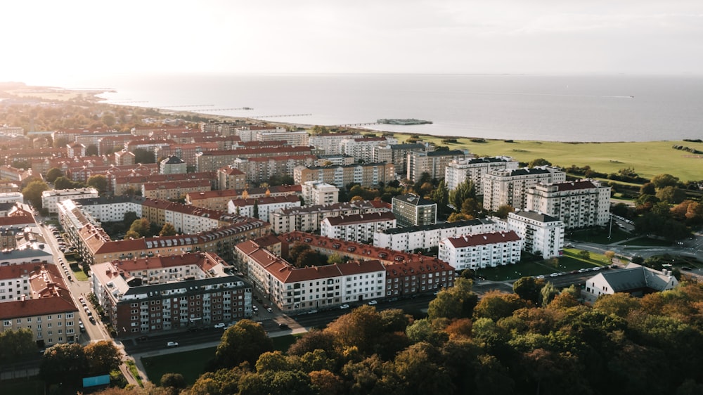 white and brown buildings