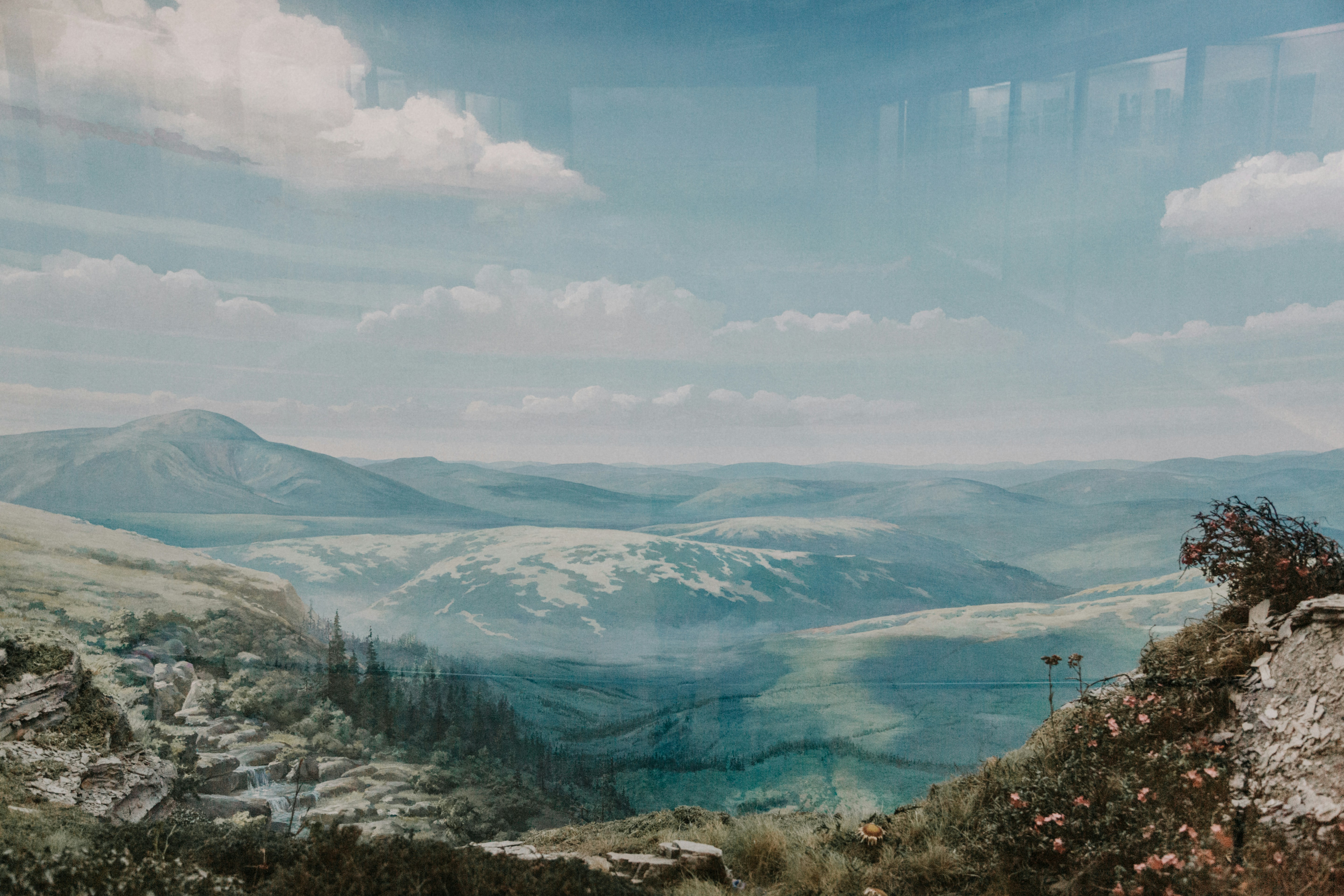 Photo by marjan_blan