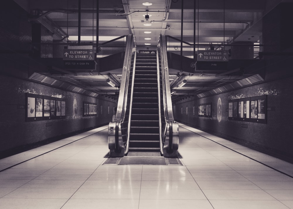 empty escalator grayscale photo