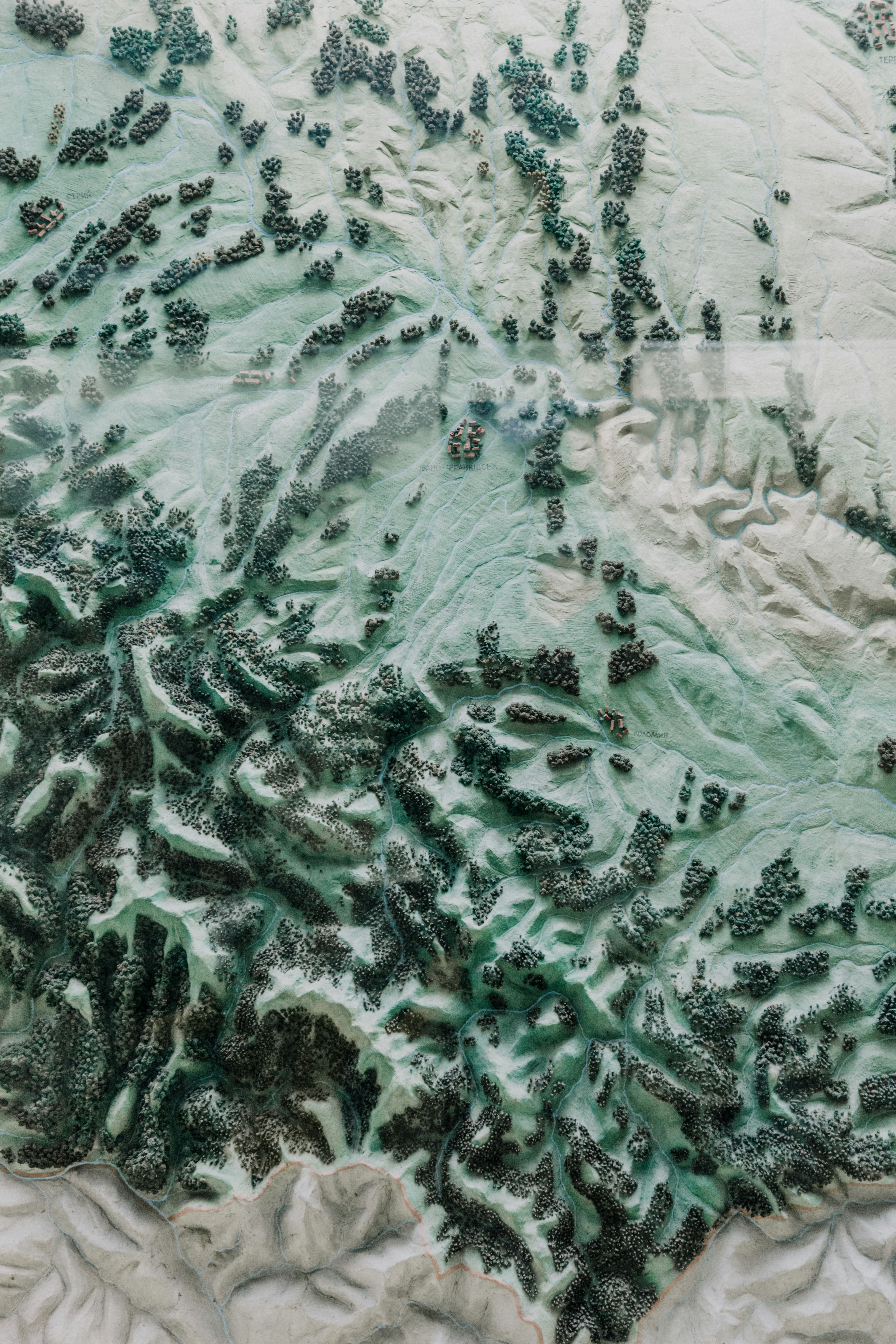 Photo by marjan_blan