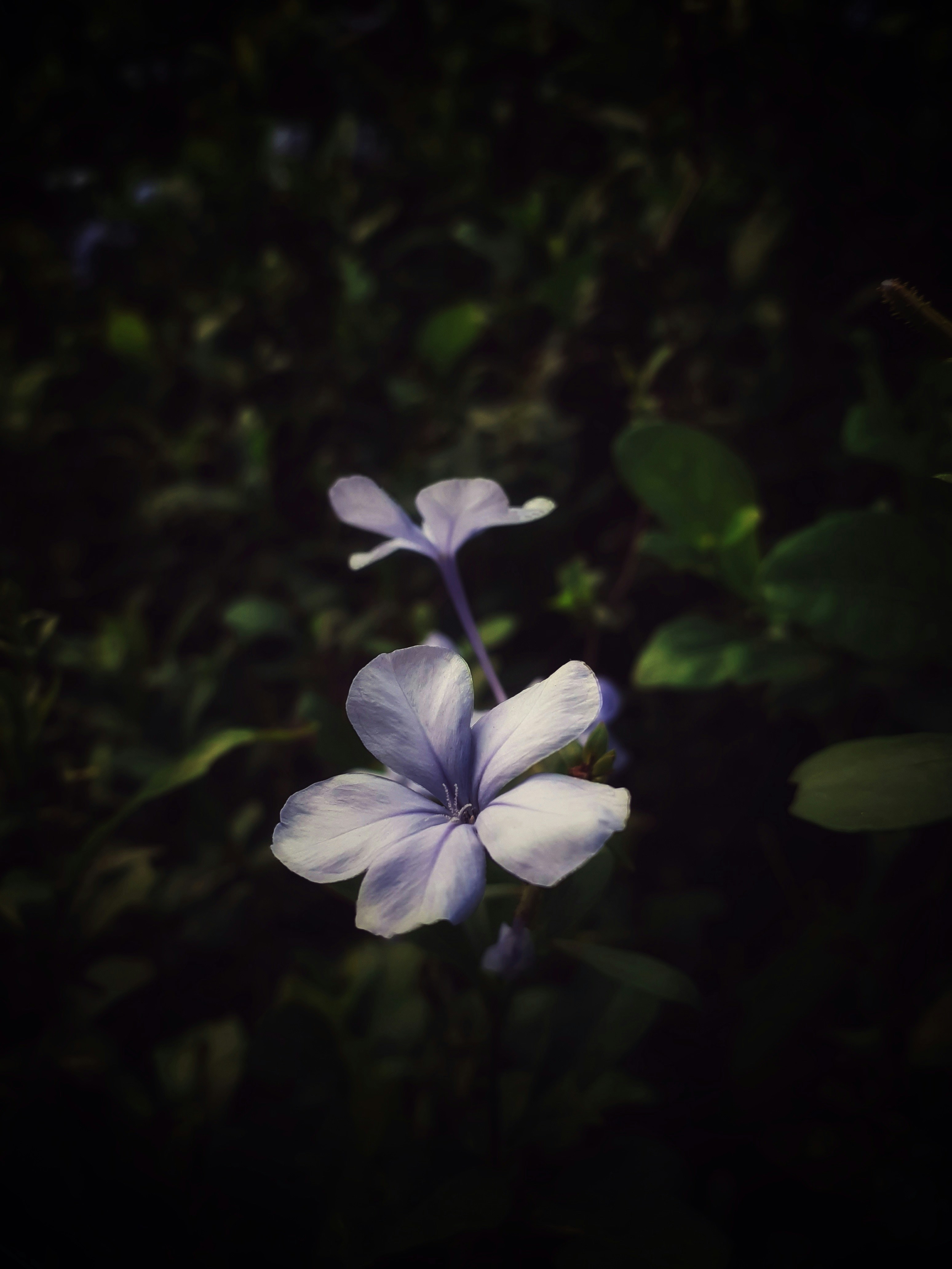 Photo by acrazywanderer