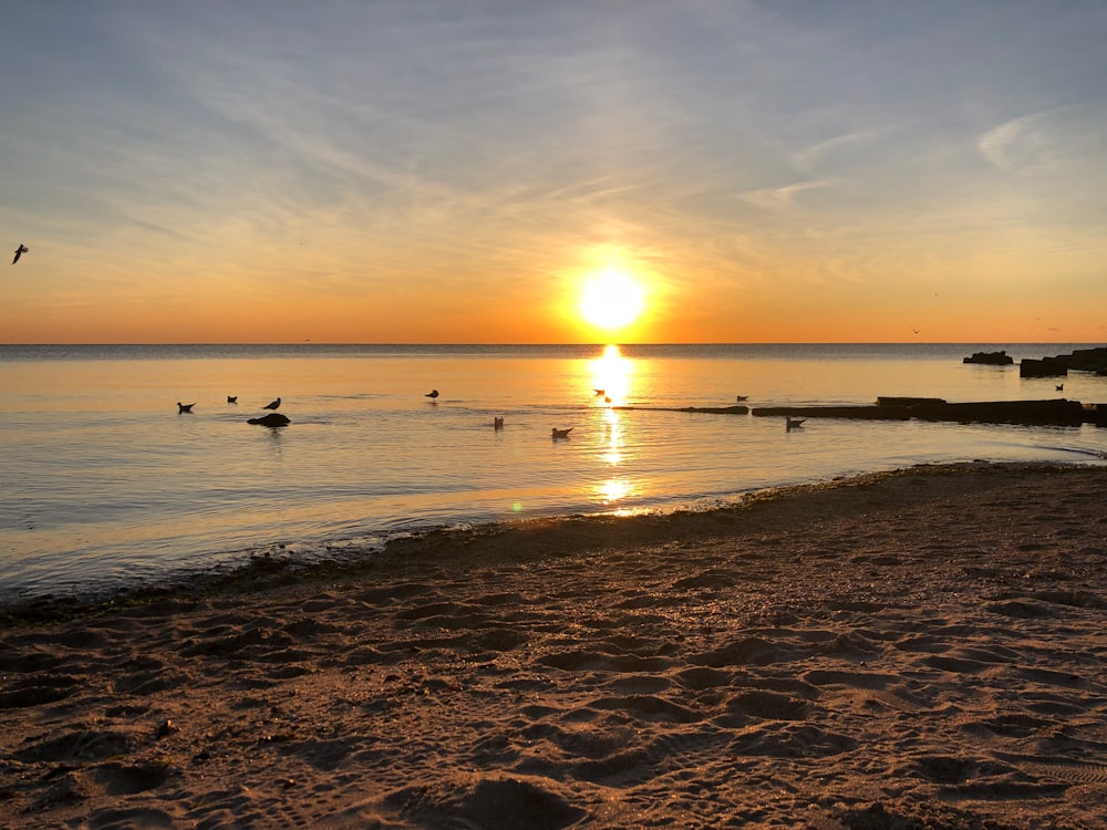 El sol se está poniendo sobre el agua en la playa