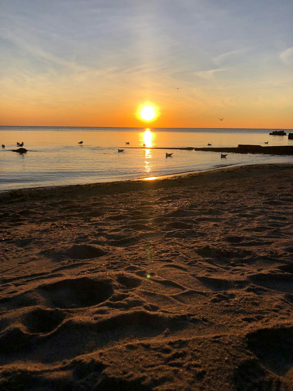 seashore during golden hour