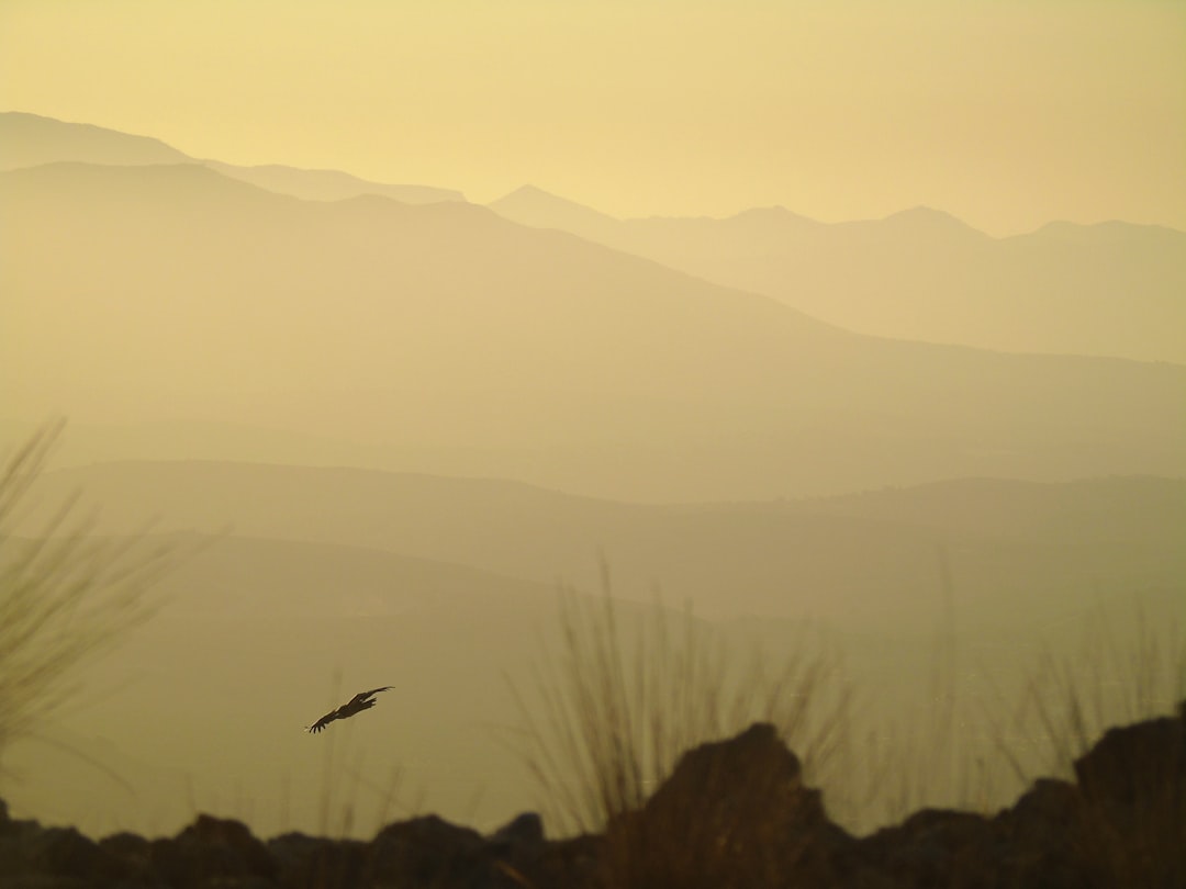 Ecoregion photo spot Crete Greece