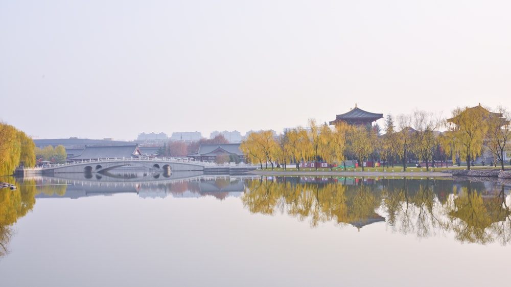 a large body of water surrounded by trees