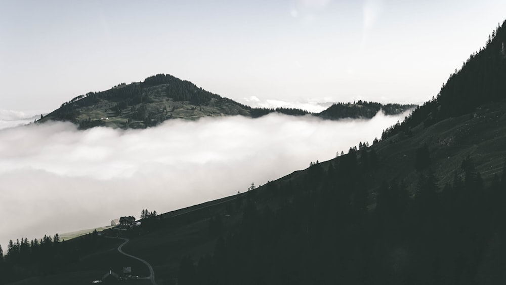 aerial photo of mountain and sea of clouds