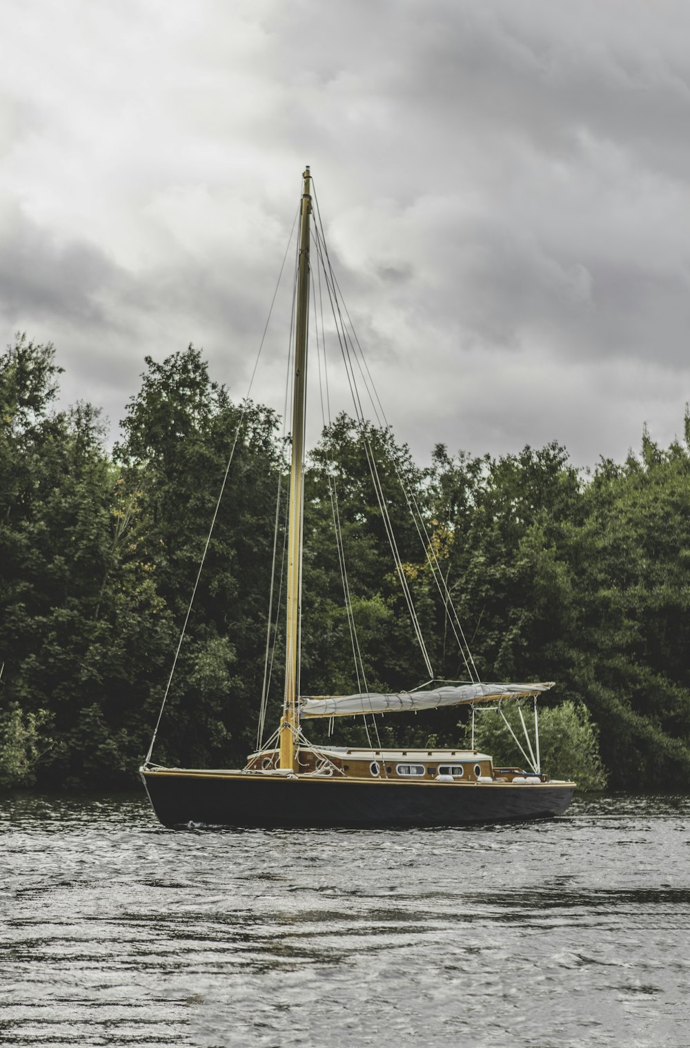 sailing boat beside tree