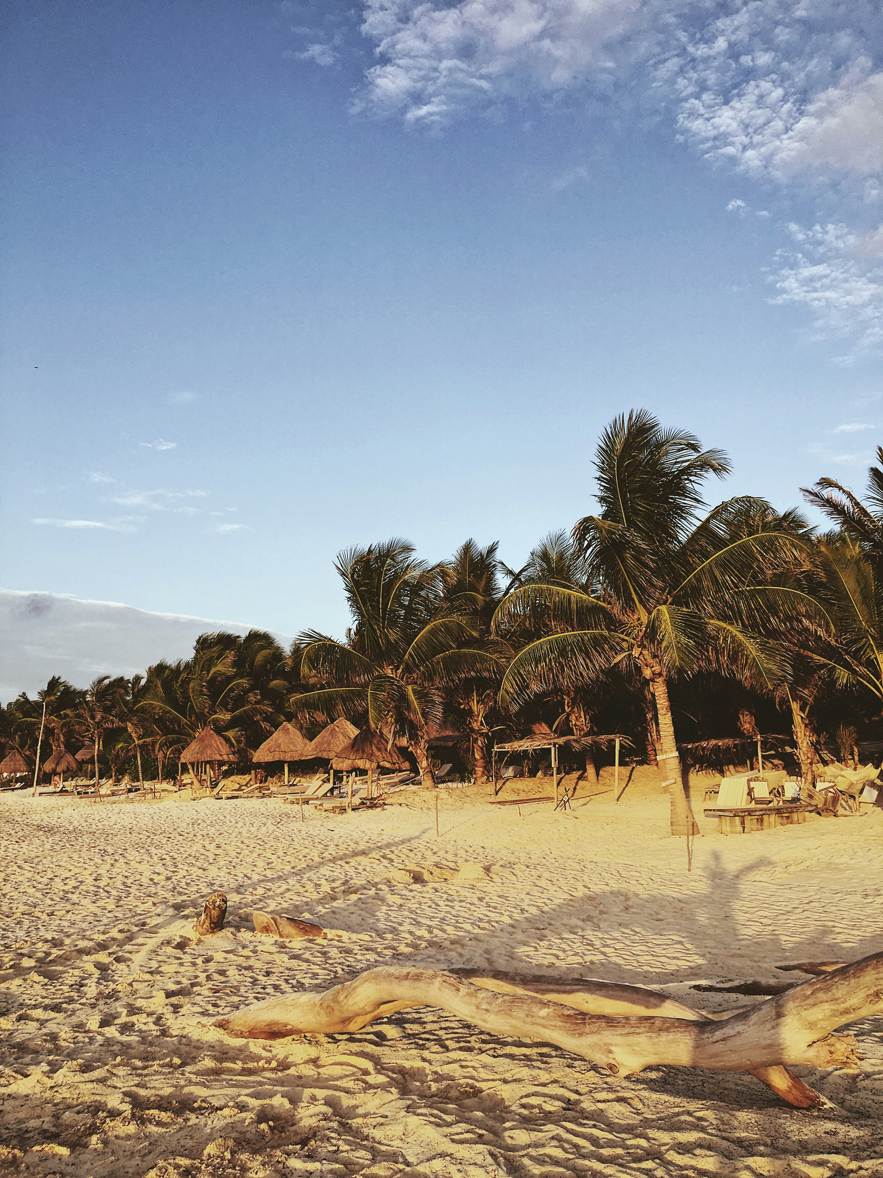 Photo by e_christensen