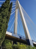 white suspension bridge