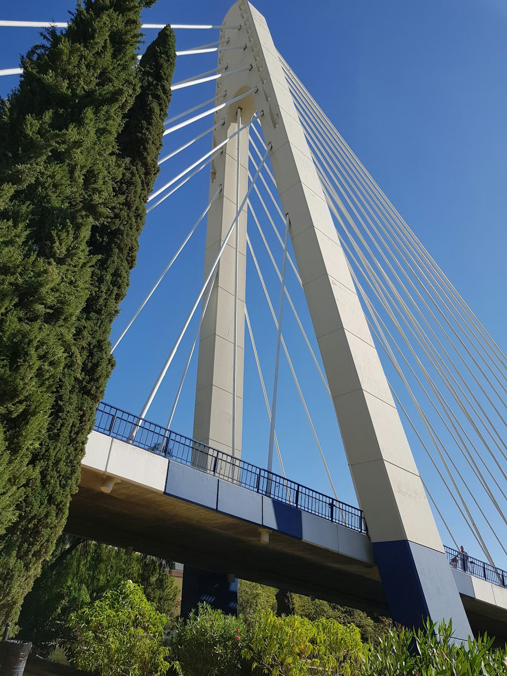 ponte sospeso bianco