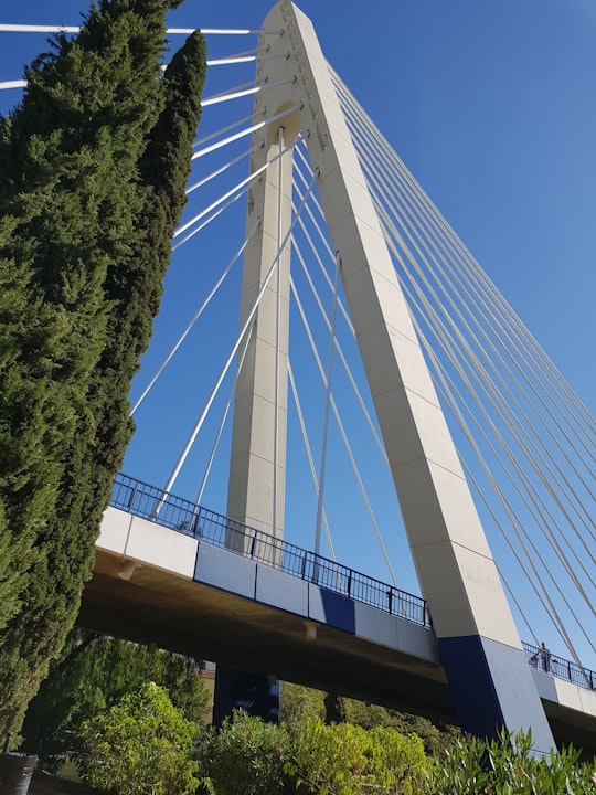 white suspension bridge in Marbella Spain