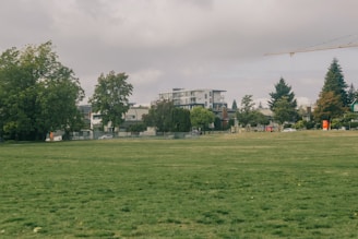 An expansive lot perfect for residential development.