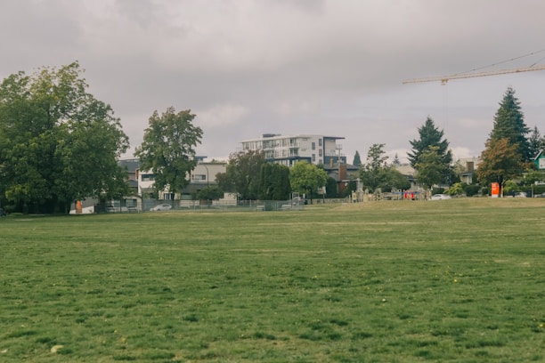 An expansive lot perfect for residential development.