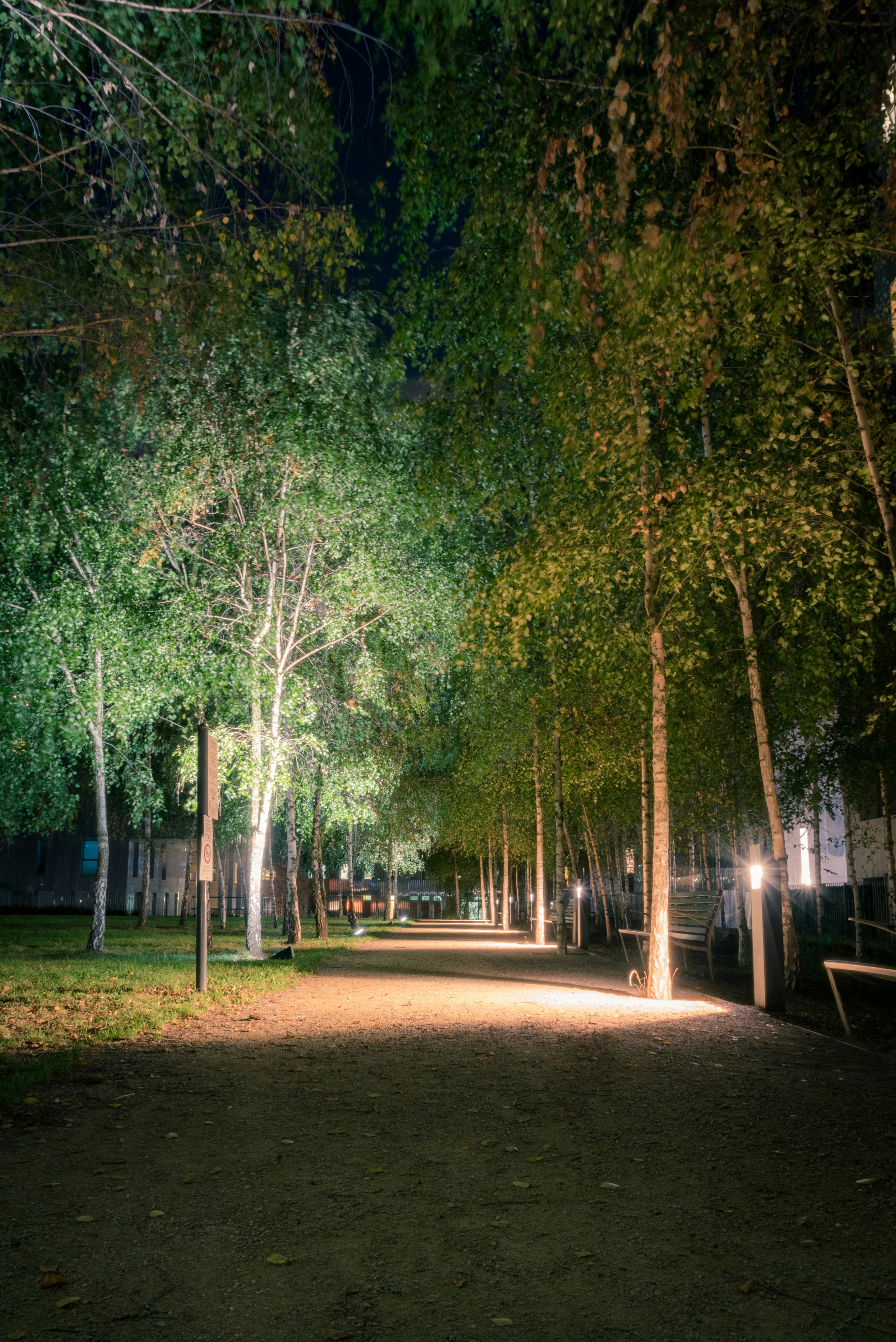 Photo by ludo_photos