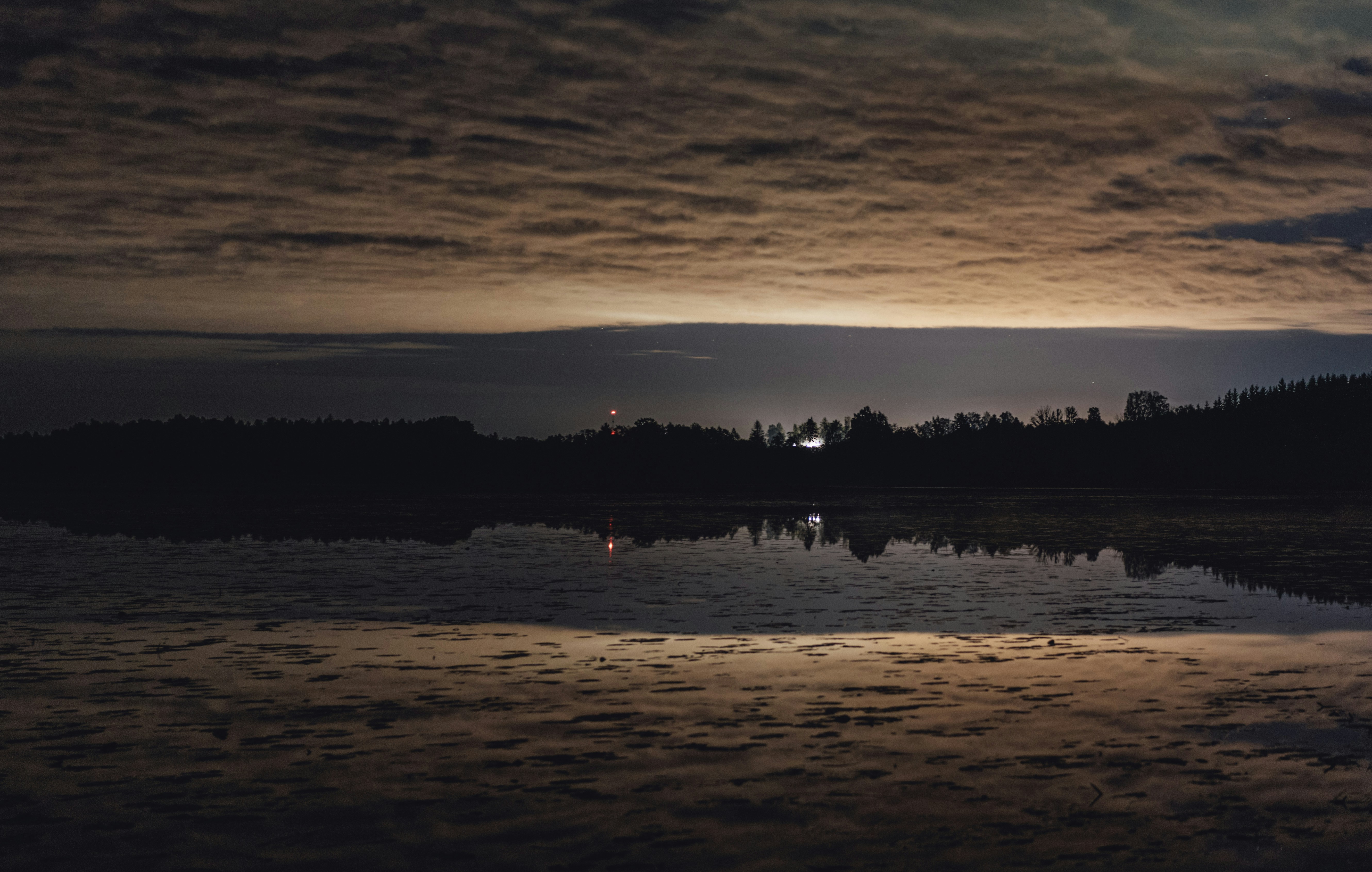 silhouette of trees and ocean