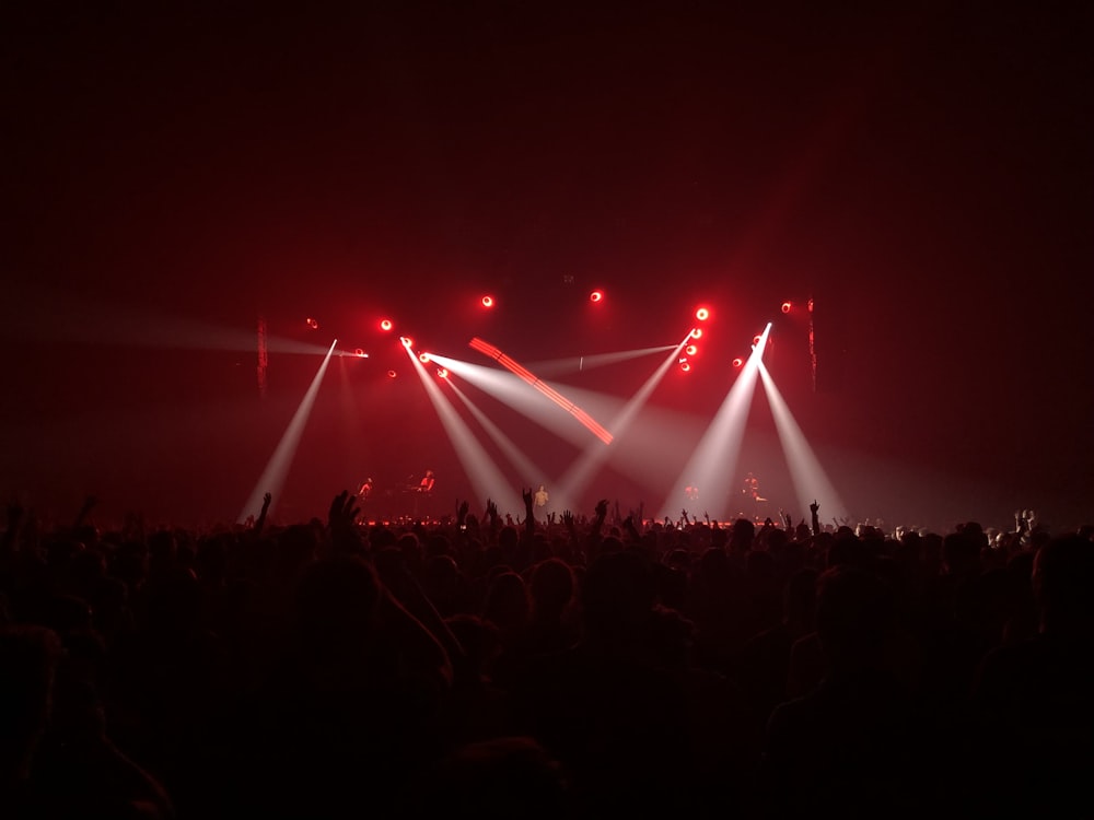 silhouette photography of people in party