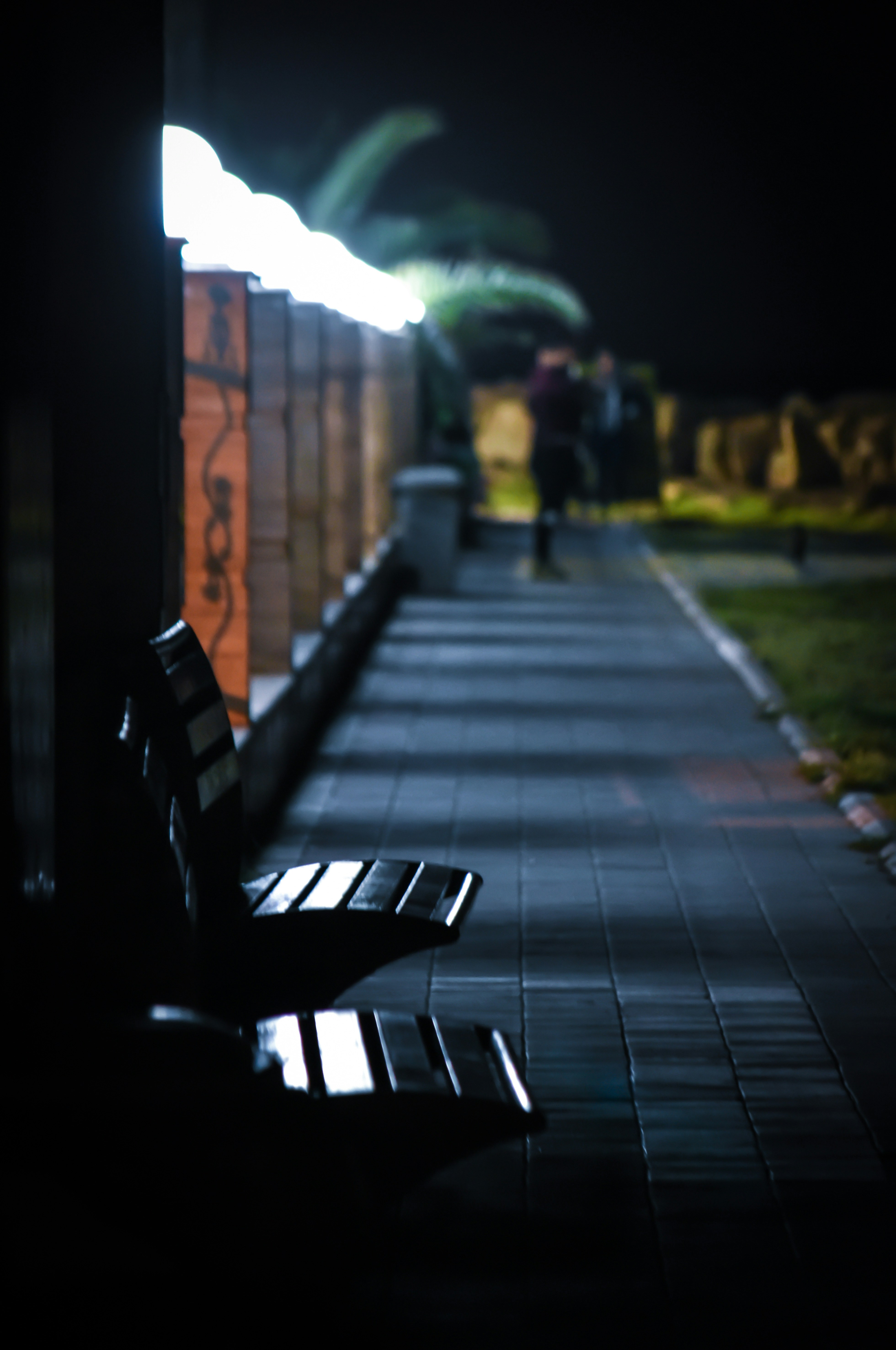 Photo by payam__tahery