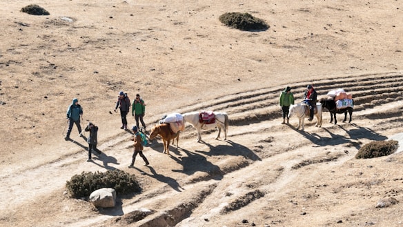 A group of people walking with pack animals on a rugged, dirt trail in an arid landscape. There are five individuals dressed in outdoor gear and three pack animals, each carrying loads. The path and surrounding area are dry and dusty with sparse vegetation and some bushes.