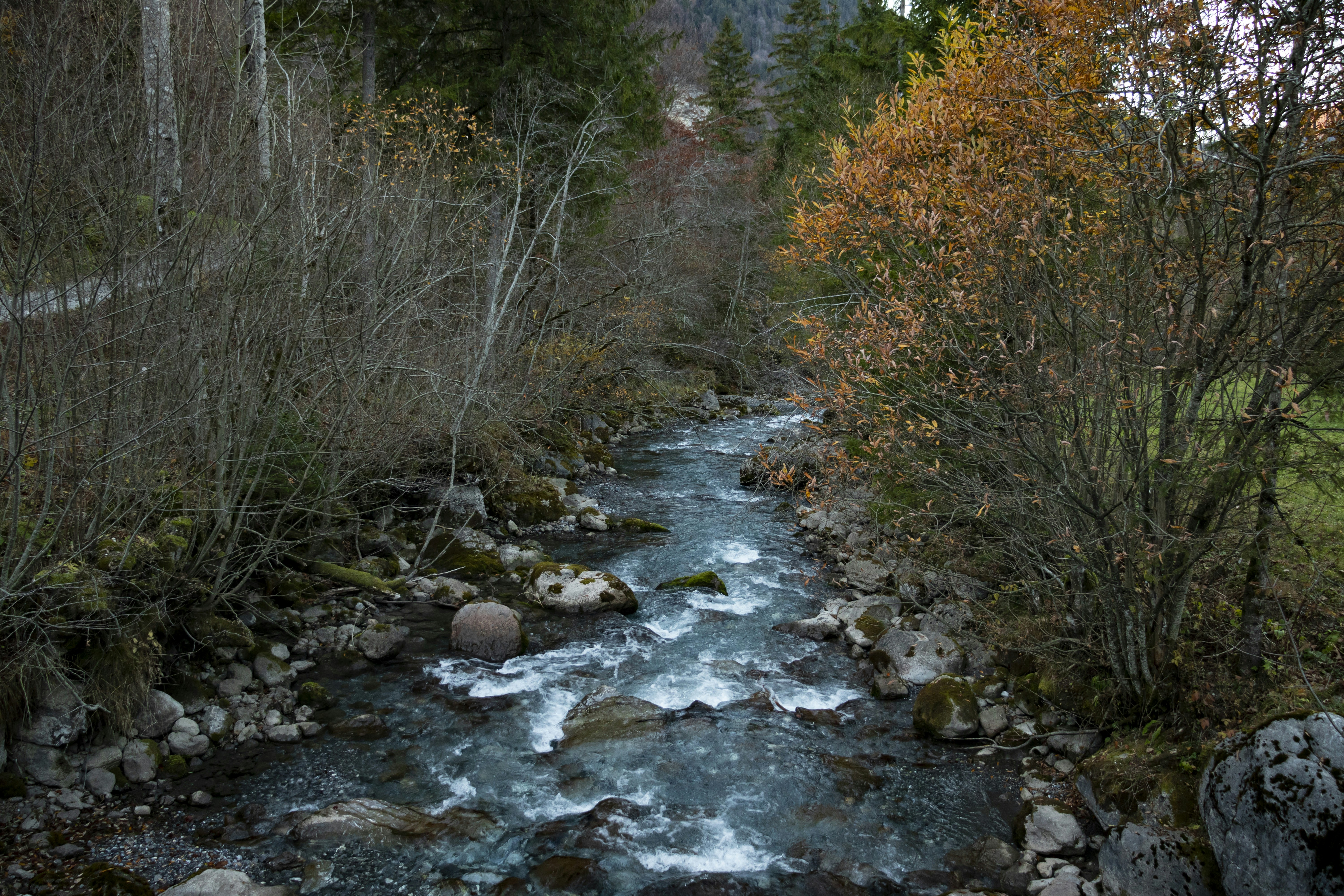 Photo by marco_pregnolato