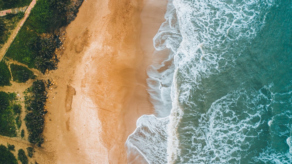 fotografia aérea da praia à beira-mar