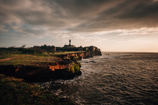 aerial photography of building beside seashore during daytime in Diu India