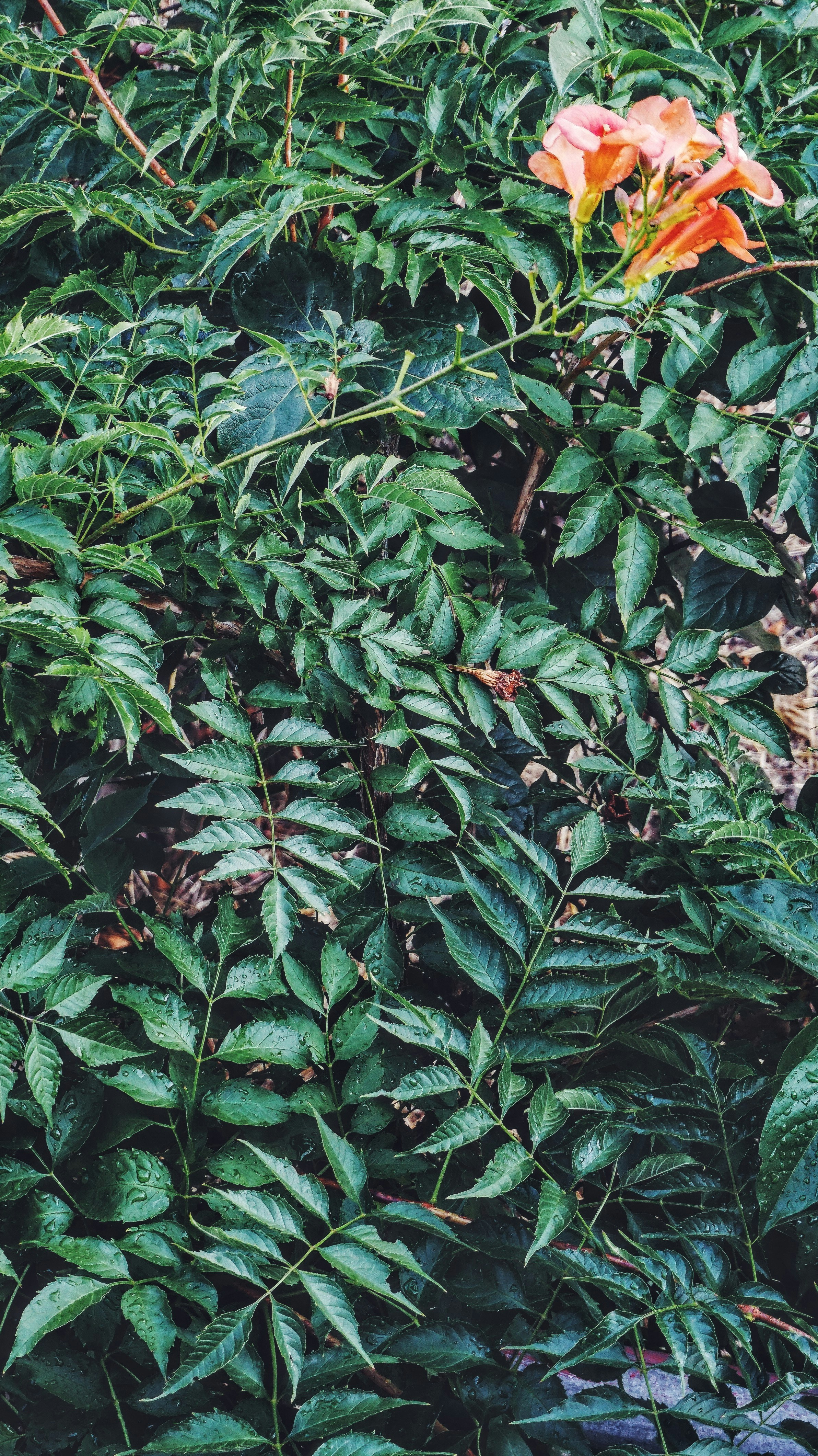 Photo by paolomandica_