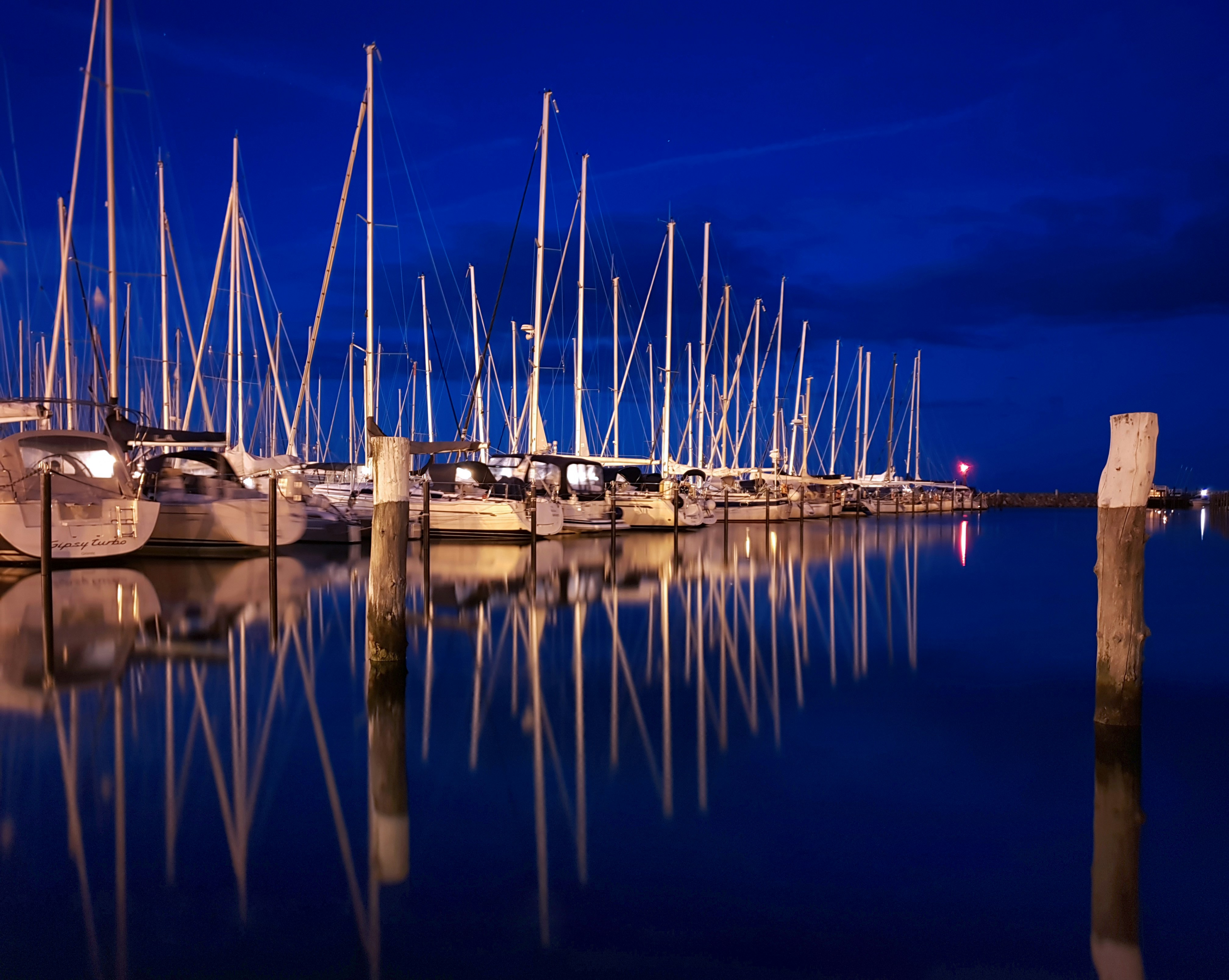 Photo by aleksandarr09