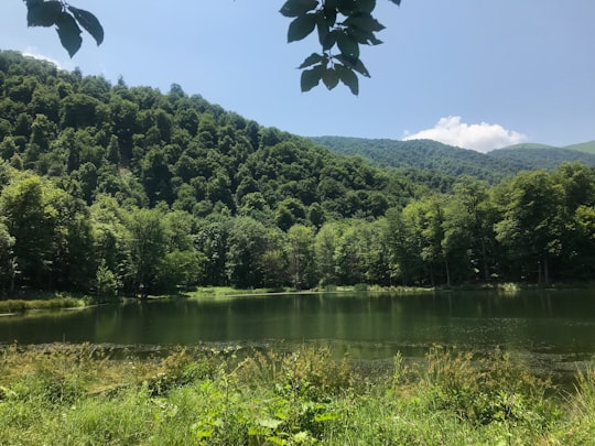 body of water near trees in Dilijan Armenia