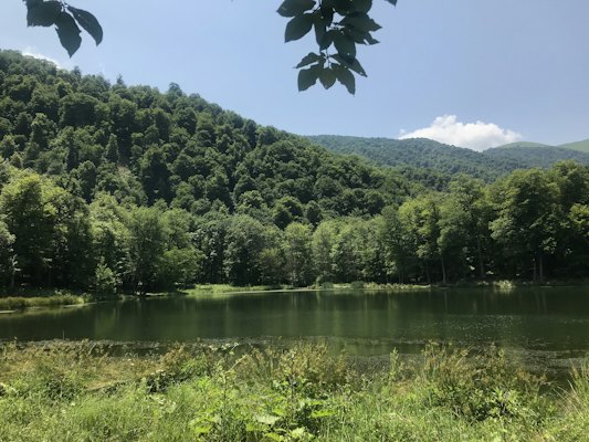 Body of water near trees — Dilijan, Armenia